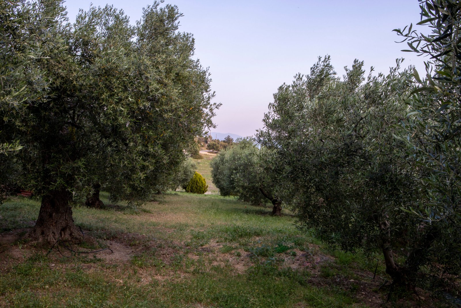 Serene view from the property
